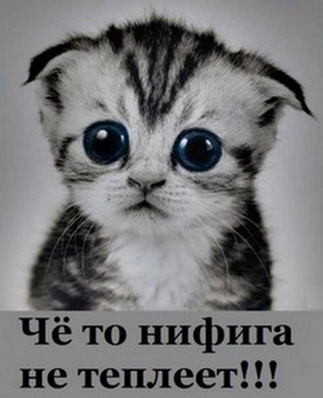 Наталья Качугина | Санкт-Петербург