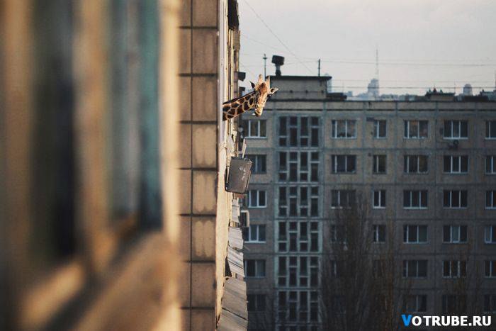 Алексей Лунев | 