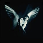 Паша Ерошкин | Мариуполь