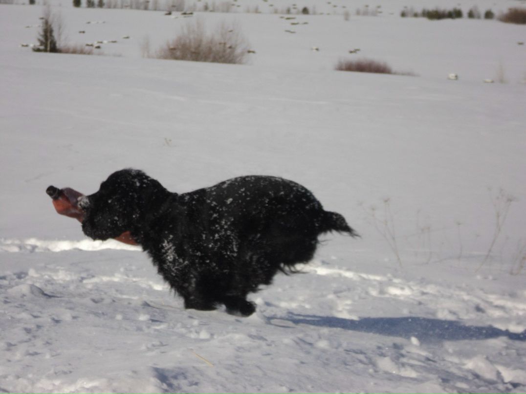 Татьяна Савельева | Сыктывкар