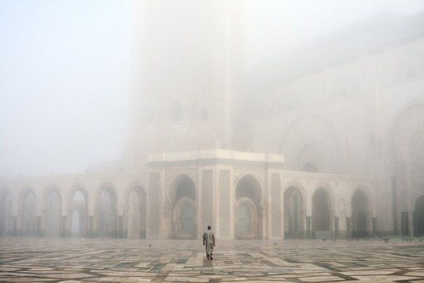 Farid Gasanoff ♦♦♦♦ | Bangkok