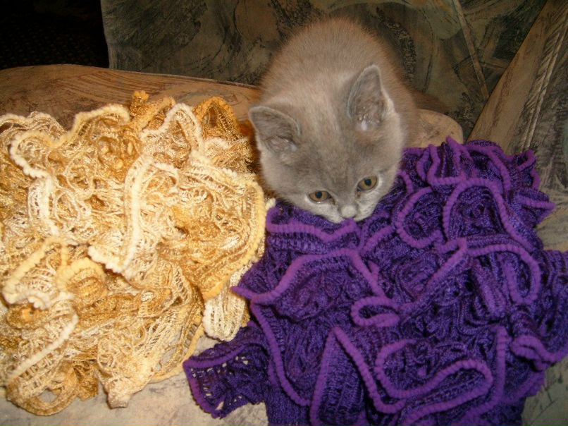 Владимир Виноградов | Санкт-Петербург