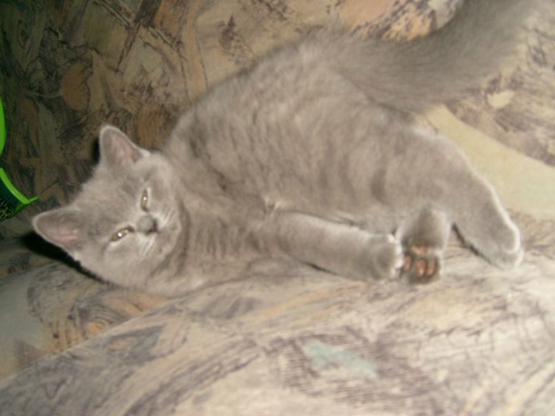 Владимир Виноградов | Санкт-Петербург