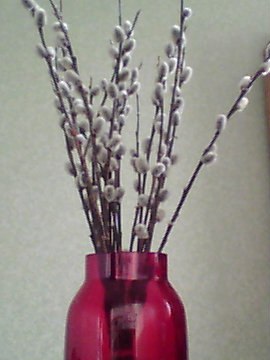 №11, Миля Зиновьева №11, Миля Зиновьева