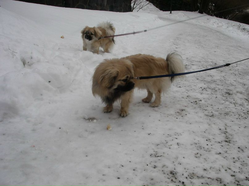 Диана Белова | Санкт-Петербург
