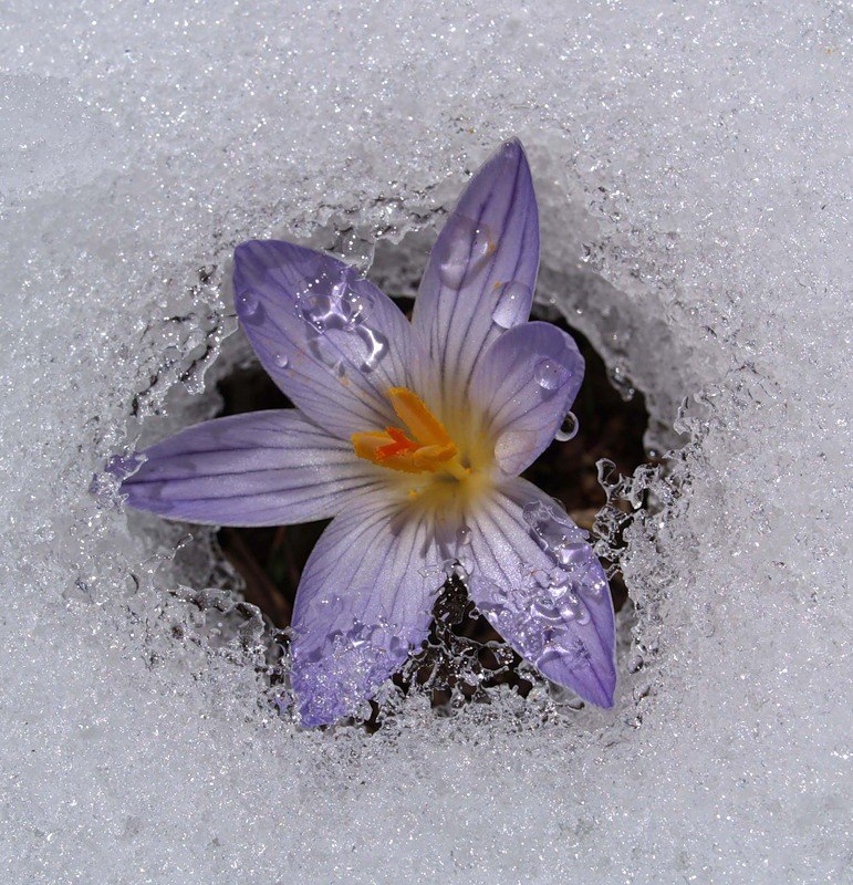 Надя Короткова | Пермь