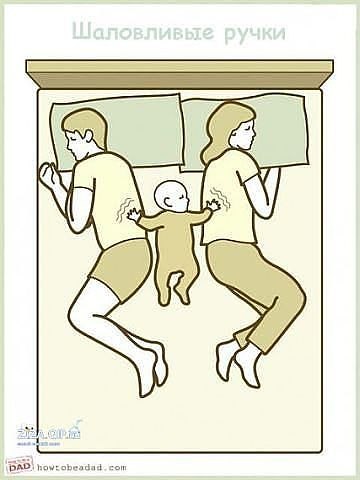 Лана Светлакова | Новосибирск