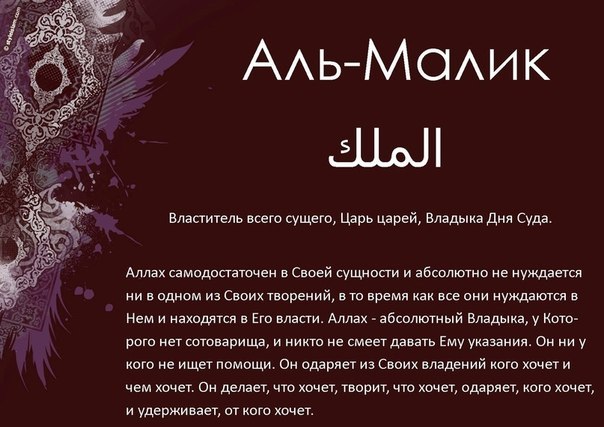 Каусар Зайниев | 