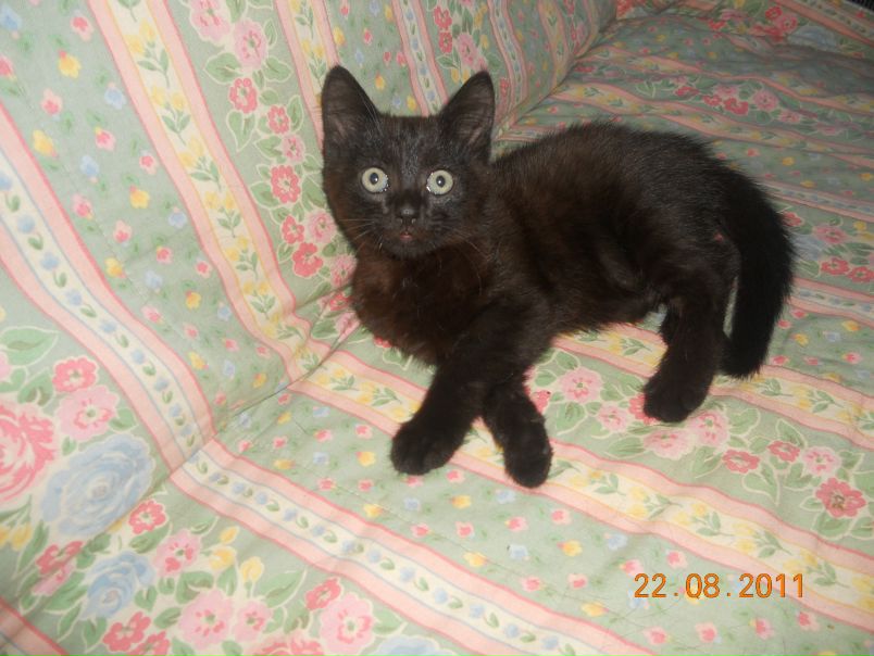 №47, Денис Алексеев, 34 года, Санкт-Петербург, Россия №47, Денис Алексеев, 34 года, Санкт-Петербург, Россия