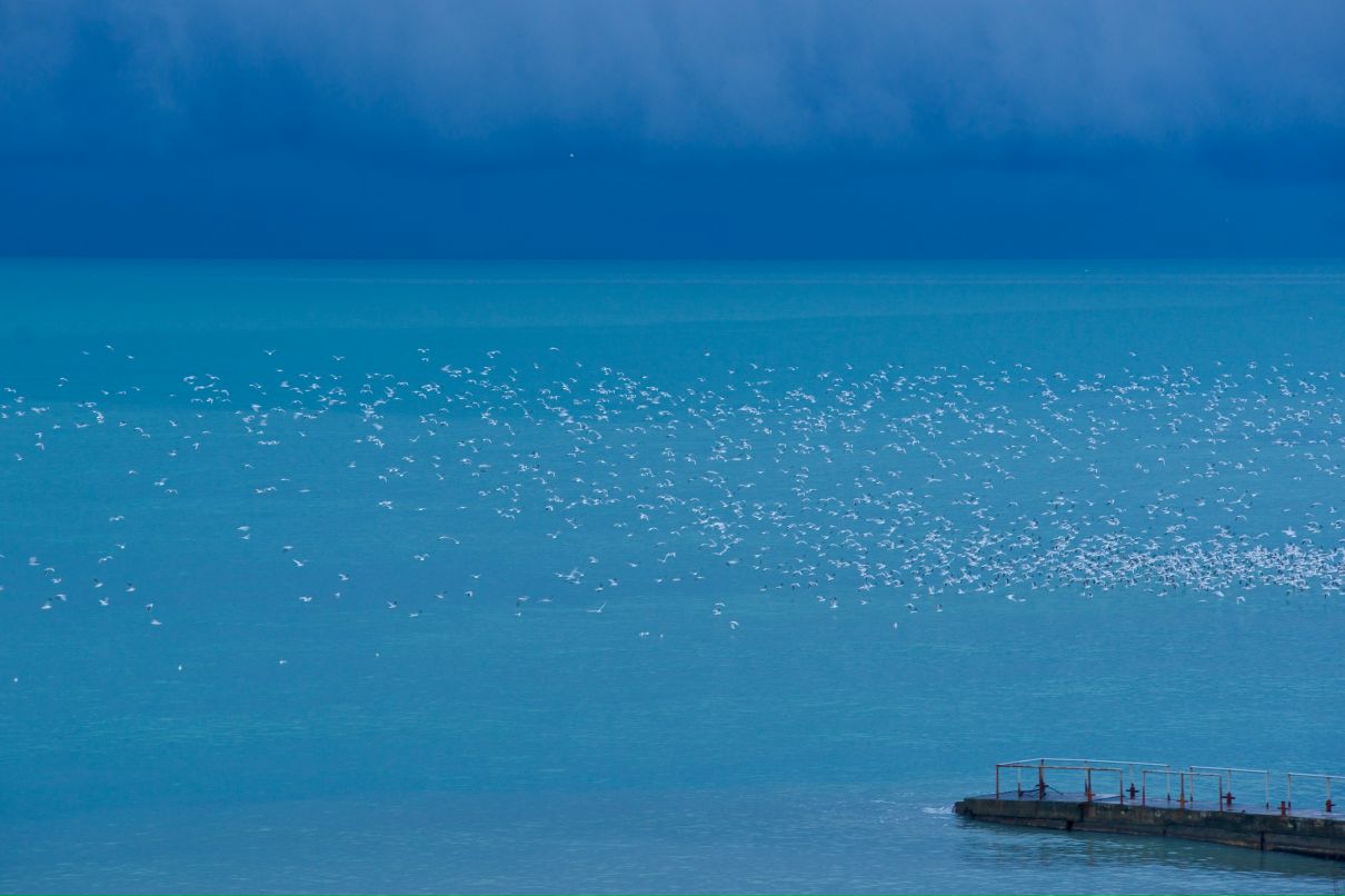 Серёга Колдов | Санкт-Петербург