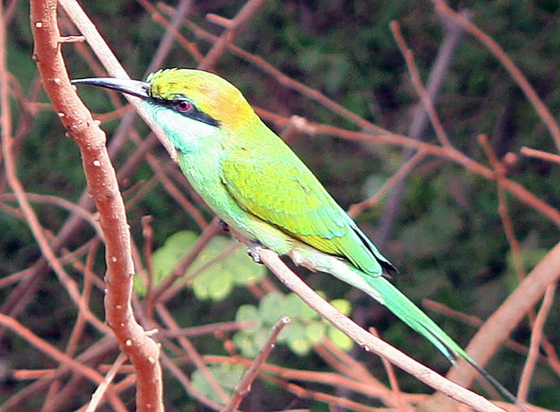 Юлия Шлыкова | Москва