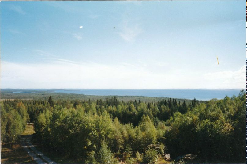 Роман Янис | Кингисепп