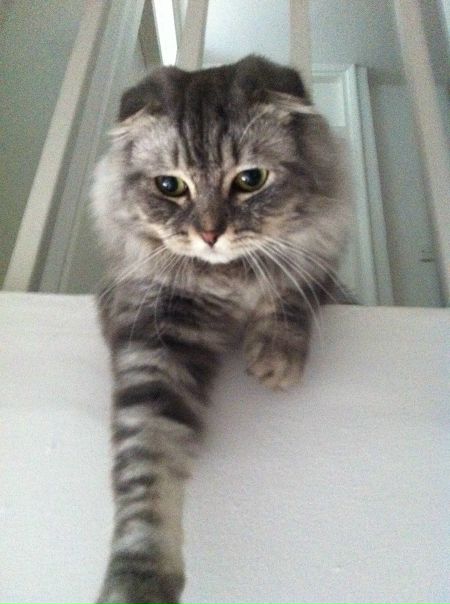 №1, Анастасия Нечволод, 40 лет, London №1, Анастасия Нечволод, 40 лет, London