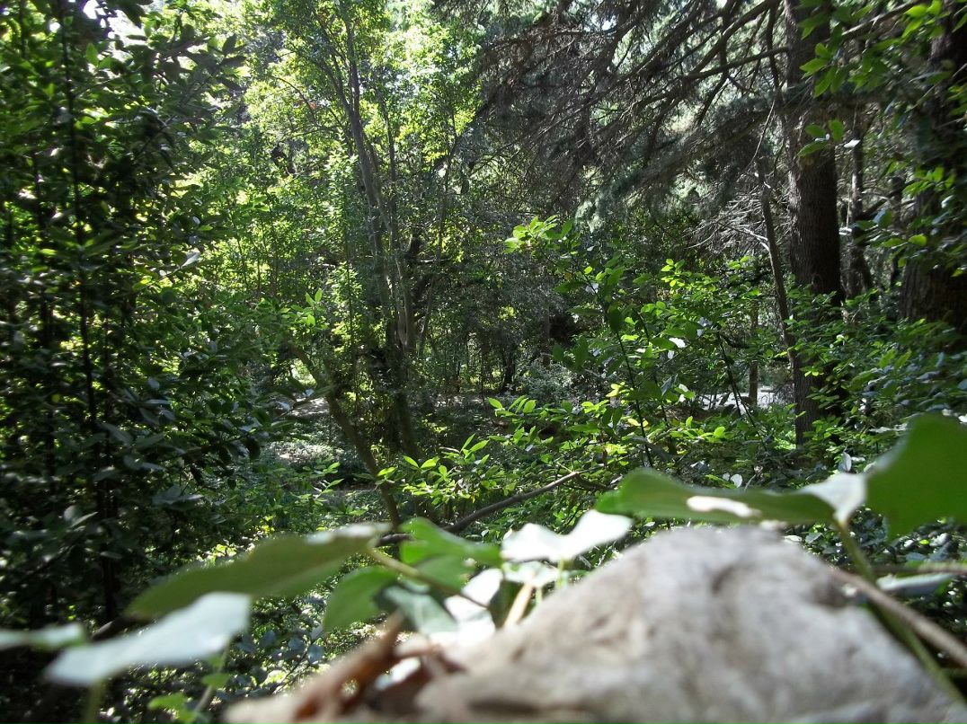 Алексей Зинюк | Бердянск