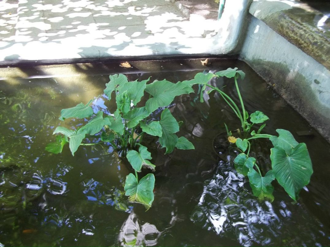 Алексей Зинюк | Бердянск