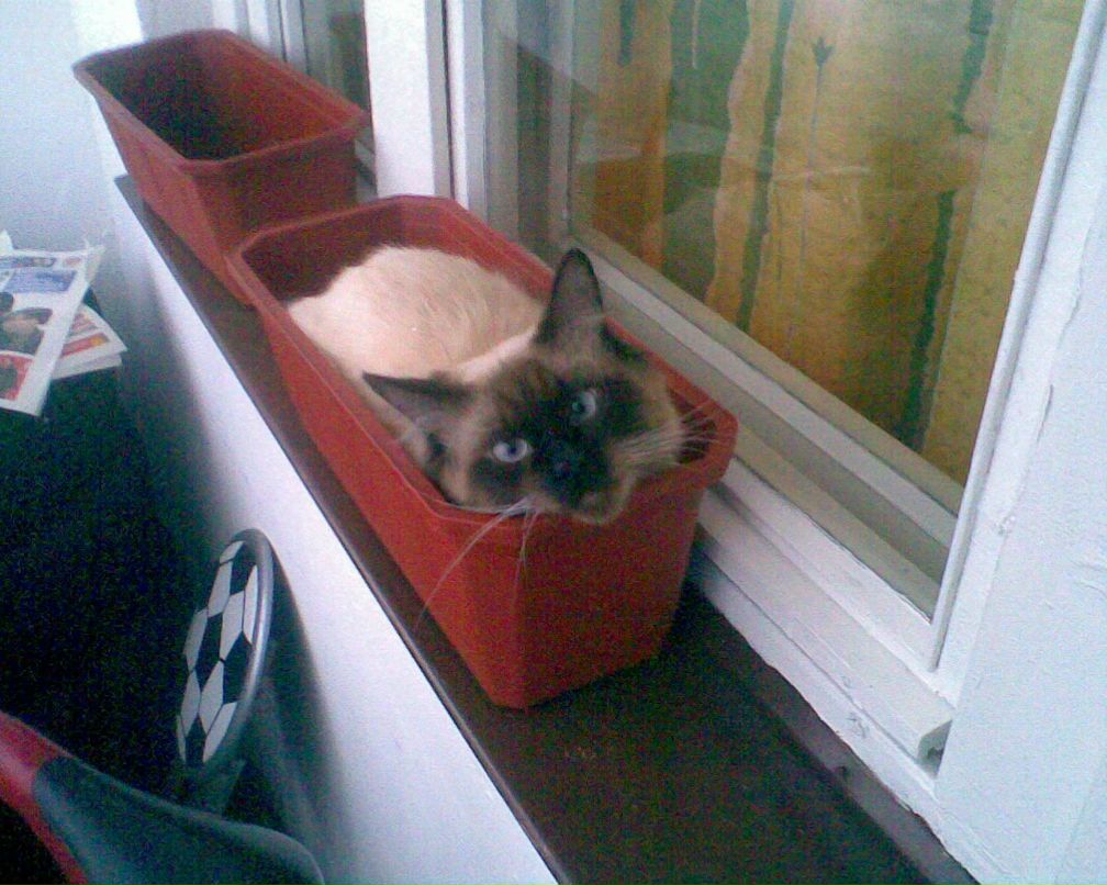 Антон Глухов | Санкт-Петербург