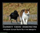 №5 Марат Абдуллин : профиль, фото, статус - ВКонтакте №5 Марат Абдуллин : профиль, фото, статус - ВКонтакте