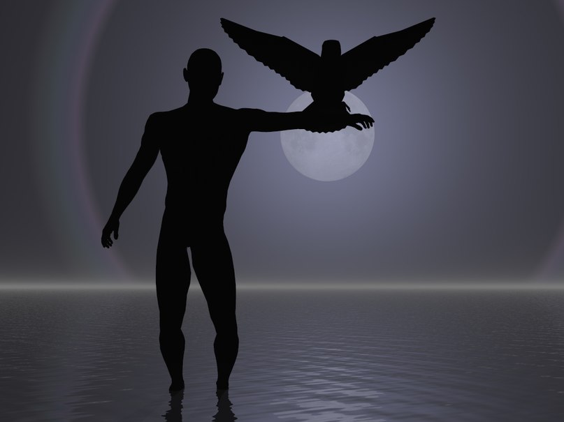 Кирилл Горшунов | Москва