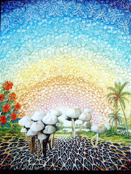 Славка Кгэу | Казань