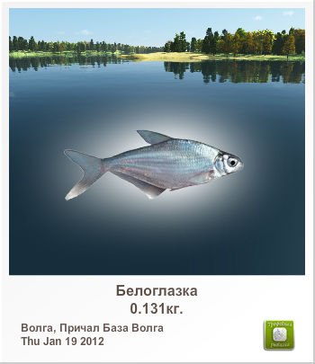Вадим Зимогляд | Бердичев