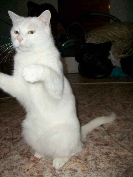 №24, Гриха Лютый, Санкт-Петербург, Россия №24, Гриха Лютый, Санкт-Петербург, Россия