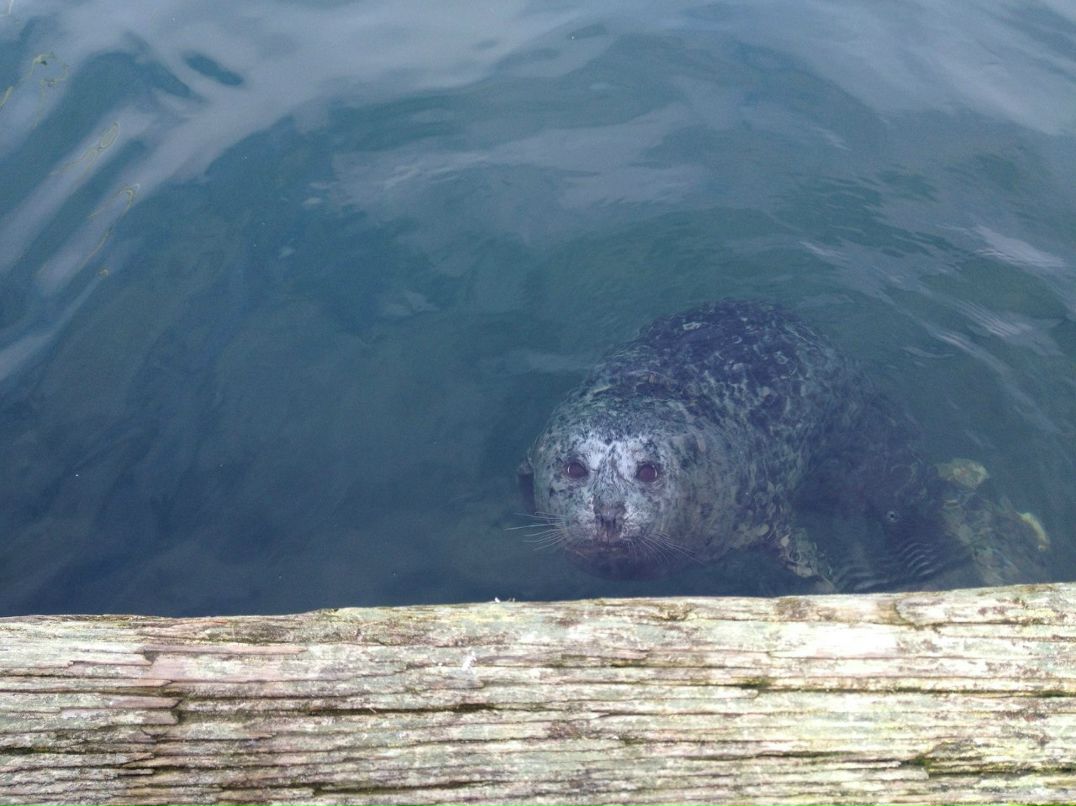 Светлана Попова | Москва