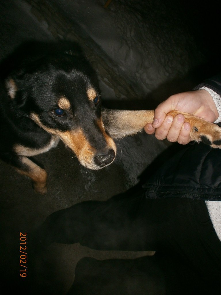 Ленур Зморка FOTO | Кировское