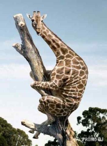 Артем Соболев Temka | Полтава