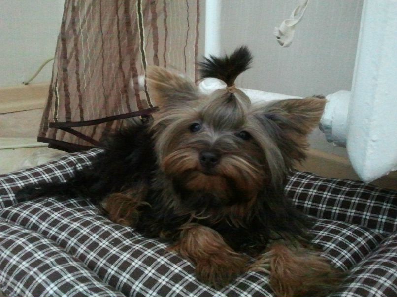 Катерина Королева | Могилёв