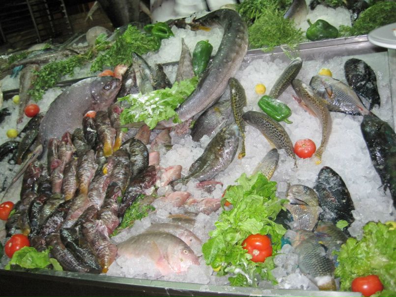 Яночка Евсюкова-Филипповская | Краснодар