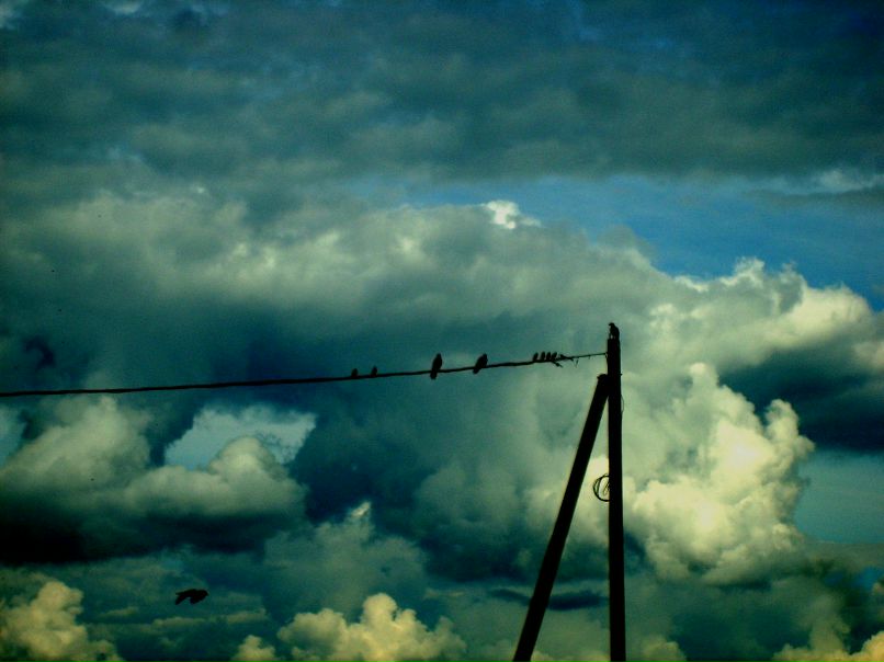 Таня Демидова | Витебск