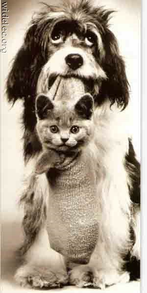 Александр Павлушов | 