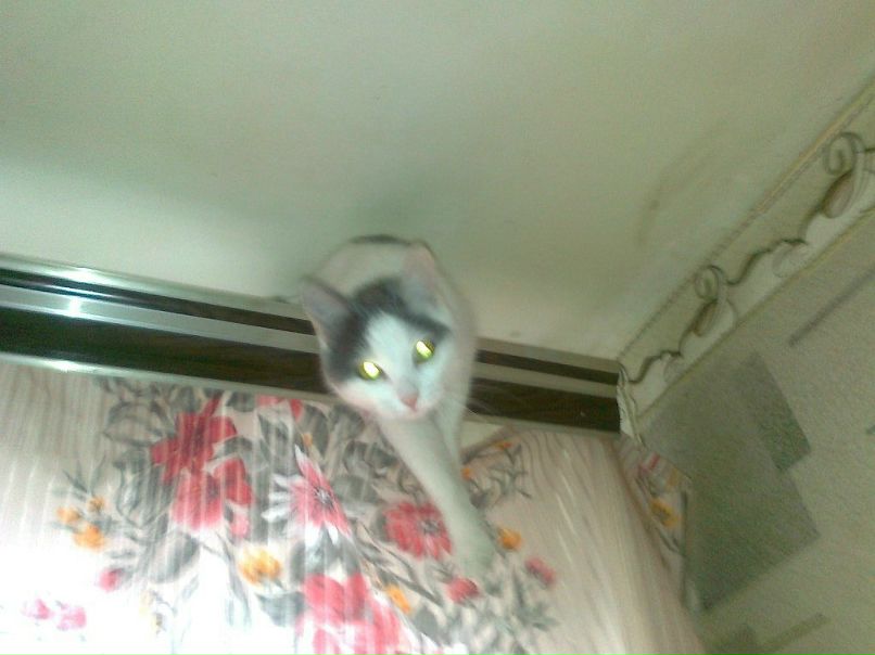 Sveta Maslova | Санкт-Петербург