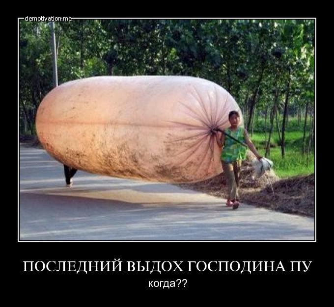 Артур Тт | Göteborg