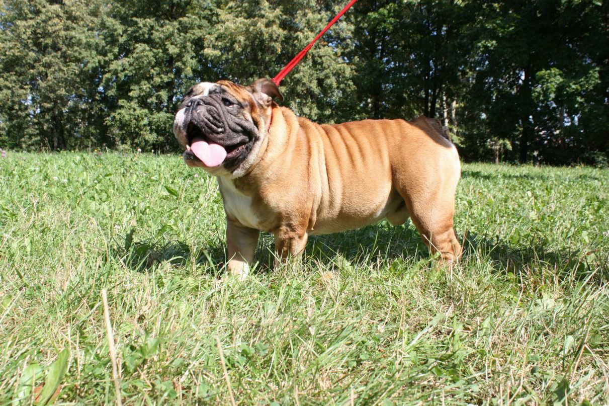 Ольга Скотч | Москва