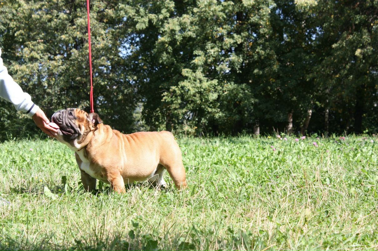 Ольга Скотч | Москва