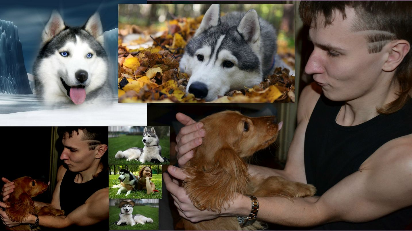 Konstantin Макаревич | Киев