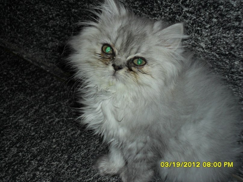 Юлия Малыгина Васильевна | Екатеринбург