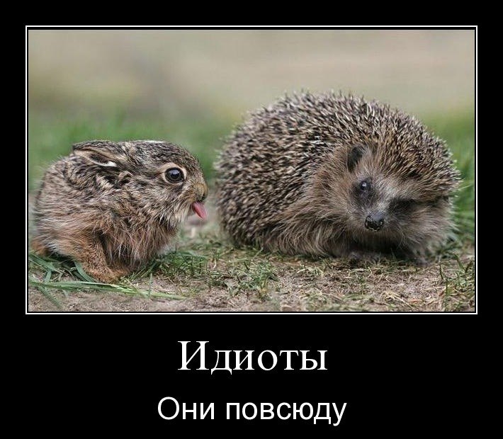 Илья Короваев | Вологда