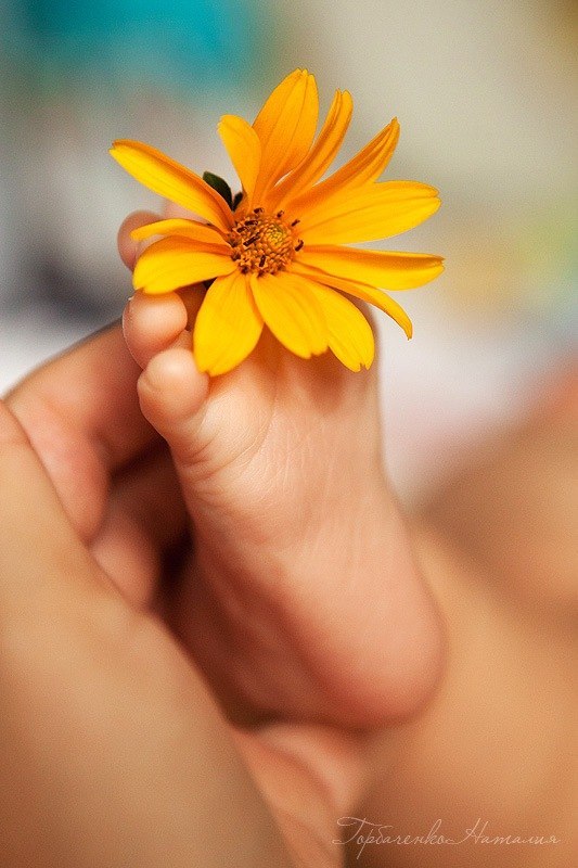 Наташа Срибная-Бондаренко | Одесса