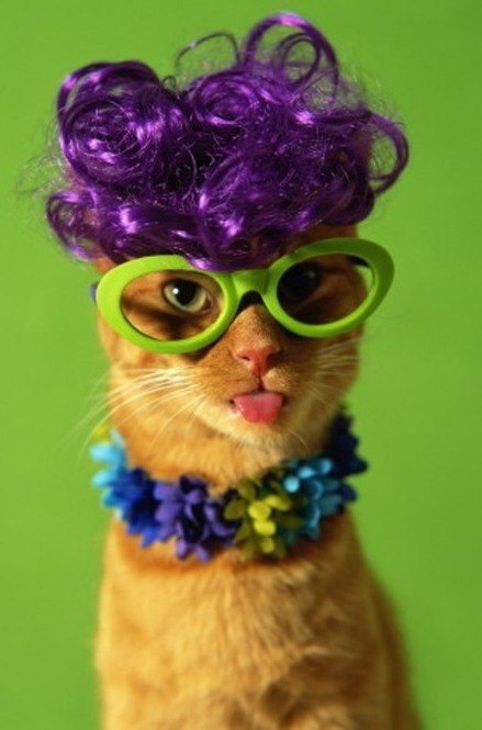 Анастасия Бояркина | Новокузнецк