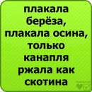 №37 Данила Семёнов 21.04.1996: профиль, фото, статус - ВКонтакте №37 Данила Семёнов 21.04.1996: профиль, фото, статус - ВКонтакте