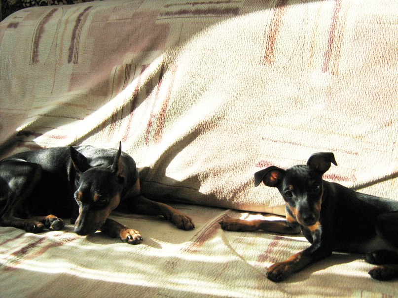 Людмила Ромашева | Санкт-Петербург