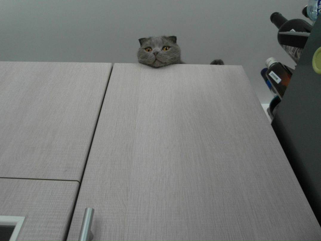 Елена Крайник | Москва