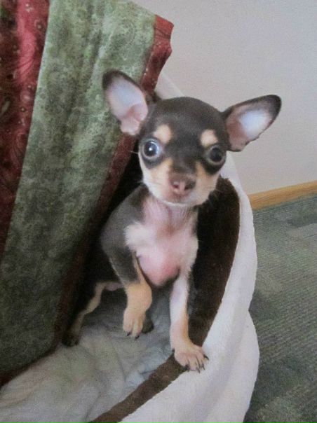 №12, Светлана Егорова №12, Светлана Егорова