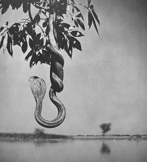 Наташа Наташа | Москва