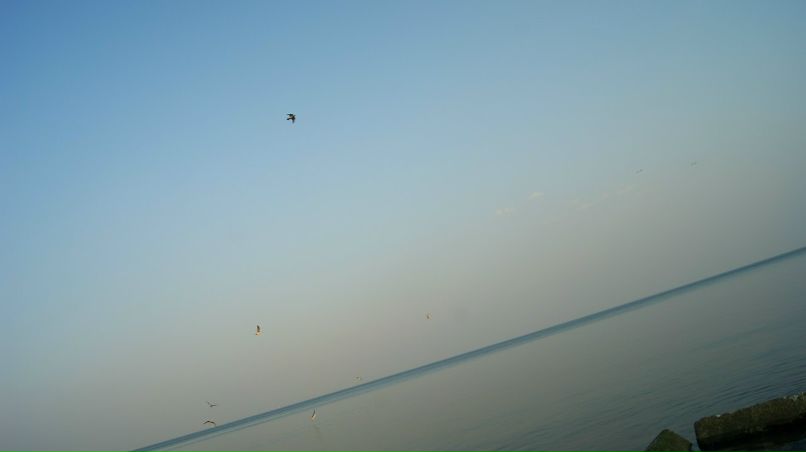 Светлана Дундева | Одесса