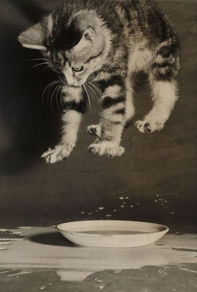 №38, Вика Белоногова, 36 лет №38, Вика Белоногова, 36 лет