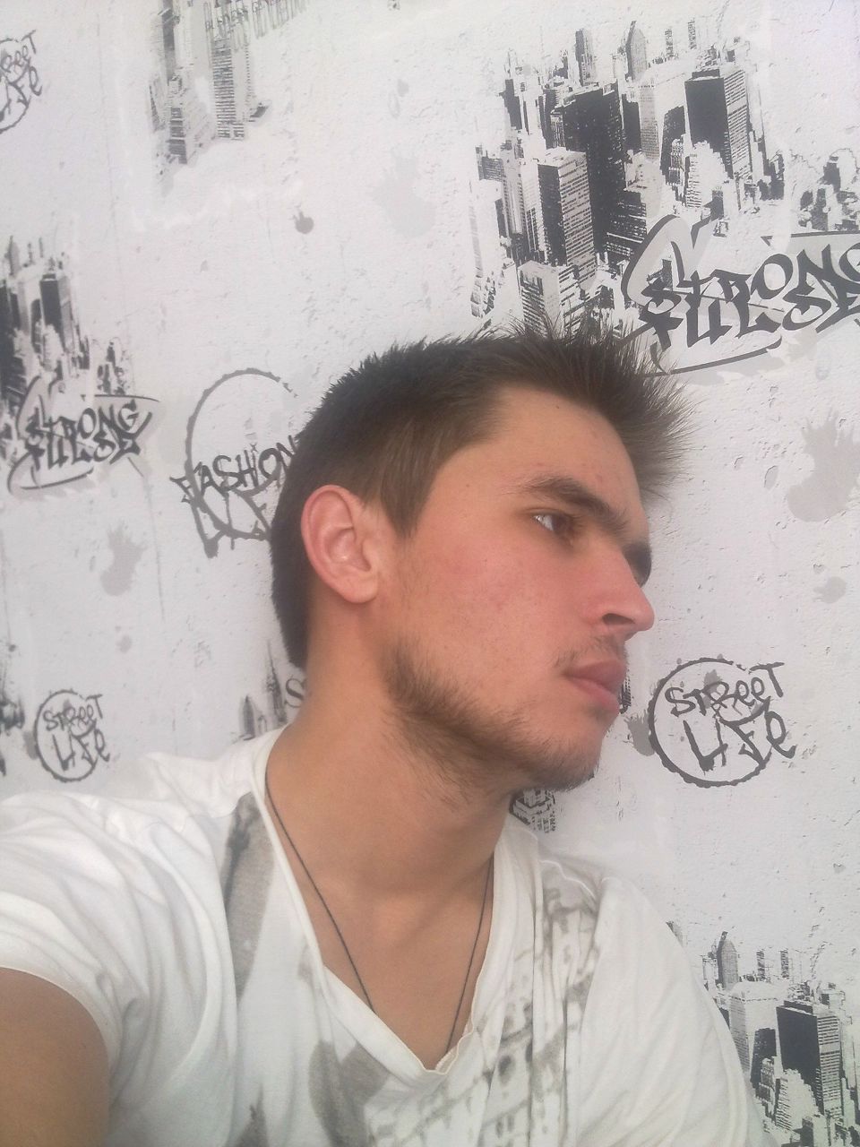 Николай Ильин << 160 >> | Пестрецы