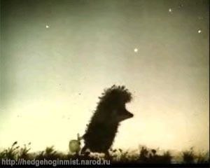 Виктория Головина MeLiSSa | Одесса